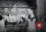 Immagine di Foglie di tabacco Norvegia, 1941, secondo 19 filmato di repertorio 65675026794