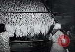 Immagine di Foglie di tabacco Norvegia, 1941, secondo 20 filmato di repertorio 65675026794
