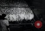 Immagine di Foglie di tabacco Norvegia, 1941, secondo 22 filmato di repertorio 65675026794