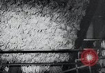 Immagine di Foglie di tabacco Norvegia, 1941, secondo 24 filmato di repertorio 65675026794