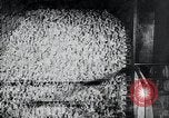 Immagine di Foglie di tabacco Norvegia, 1941, secondo 27 filmato di repertorio 65675026794