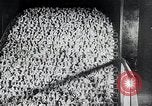 Immagine di Foglie di tabacco Norvegia, 1941, secondo 28 filmato di repertorio 65675026794