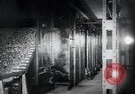 Immagine di Foglie di tabacco Norvegia, 1941, secondo 33 filmato di repertorio 65675026794