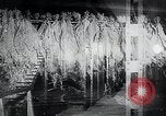 Immagine di Foglie di tabacco Norvegia, 1941, secondo 35 filmato di repertorio 65675026794