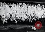 Immagine di Foglie di tabacco Norvegia, 1941, secondo 36 filmato di repertorio 65675026794