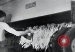 Immagine di Foglie di tabacco Norvegia, 1941, secondo 39 filmato di repertorio 65675026794