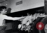 Immagine di Foglie di tabacco Norvegia, 1941, secondo 41 filmato di repertorio 65675026794