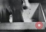 Immagine di Foglie di tabacco Norvegia, 1941, secondo 43 filmato di repertorio 65675026794