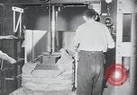 Immagine di Foglie di tabacco Norvegia, 1941, secondo 55 filmato di repertorio 65675026794