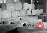 Immagine di Foglie di tabacco Norvegia, 1941, secondo 59 filmato di repertorio 65675026794