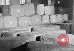 Immagine di Foglie di tabacco Norvegia, 1941, secondo 60 filmato di repertorio 65675026794