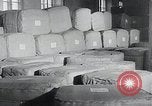 Immagine di Foglie di tabacco Norvegia, 1941, secondo 61 filmato di repertorio 65675026794