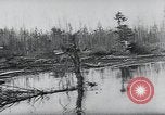 Image of German troops Russia, 1943, second 21 stock footage video 65675026800