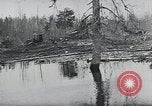 Image of German troops Russia, 1943, second 24 stock footage video 65675026800