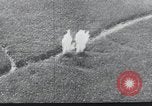 Immagine di Truppe tedesche La Russia, 1943, secondo 12 filmato di repertorio 65675026801