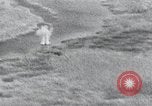 Immagine di Truppe tedesche La Russia, 1943, secondo 48 filmato di repertorio 65675026801