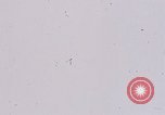 Standbild AC-119K Vietnam Phan Rang Air Base, 1969, aus Sekunde 1 historischem Filmmaterial Videoclip 65675026810