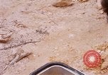 Immagine di I soldati di essere servito cibo durante il funzionamento normale di Somerset Il Vietnam, 1968, secondo 55 filmato di repertorio 65675026844
