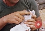 Standbild US-Soldaten laden Haubitzen und Hubschrauber während Betrieb Somerset Vietnam, 1968, aus Sekunde 54 historischem Filmmaterial Videoclip 65675026850