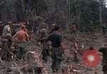 Image of Wrecked US Army UH-1H helicopter A Shau Valley Vietnam, 1968, second 43 stock footage video 65675026858