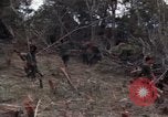Image of Wrecked US Army UH-1H helicopter A Shau Valley Vietnam, 1968, second 51 stock footage video 65675026858