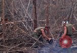 Image of Wrecked US Army UH-1H helicopter A Shau Valley Vietnam, 1968, second 61 stock footage video 65675026858