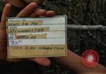 Image of Activities of soldiers during Operation Delaware A Shau Valley Vietnam, 1968, second 6 stock footage video 65675026859
