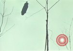 Image of Activities of soldiers during Operation Delaware A Shau Valley Vietnam, 1968, second 51 stock footage video 65675026859