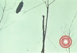 Image of Activities of soldiers during Operation Delaware A Shau Valley Vietnam, 1968, second 52 stock footage video 65675026859