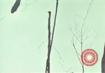 Image of Activities of soldiers during Operation Delaware A Shau Valley Vietnam, 1968, second 53 stock footage video 65675026859