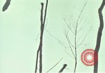 Image of Activities of soldiers during Operation Delaware A Shau Valley Vietnam, 1968, second 54 stock footage video 65675026859
