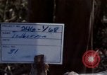 Image of Soldiers struggling to position 105mm Howitzer A Shau Valley Vietnam, 1968, second 4 stock footage video 65675026860