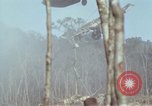 Image of Soldiers struggling to position 105mm Howitzer A Shau Valley Vietnam, 1968, second 62 stock footage video 65675026860
