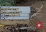 Image of Maj Gn John J Tolsin on work during Operation Delaware A Shau Valley Vietnam, 1968, second 6 stock footage video 65675026861