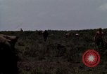 Image of Soldiers walking through the fields during Operation Delaware A Shau Valley Vietnam, 1968, second 38 stock footage video 65675026864