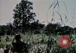 Standbild US-Soldaten" Boden die Aktivitäten im Betrieb Attleboro Dau Tieng Landebahn Vietnam, 1966, aus Sekunde 20 historischem Filmmaterial Videoclip 65675026865