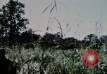Standbild US-Soldaten" Boden die Aktivitäten im Betrieb Attleboro Dau Tieng Landebahn Vietnam, 1966, aus Sekunde 21 historischem Filmmaterial Videoclip 65675026865