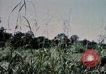 Standbild US-Soldaten" Boden die Aktivitäten im Betrieb Attleboro Dau Tieng Landebahn Vietnam, 1966, aus Sekunde 23 historischem Filmmaterial Videoclip 65675026865