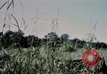Standbild US-Soldaten" Boden die Aktivitäten im Betrieb Attleboro Dau Tieng Landebahn Vietnam, 1966, aus Sekunde 24 historischem Filmmaterial Videoclip 65675026865