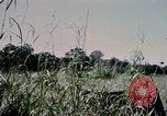Standbild US-Soldaten" Boden die Aktivitäten im Betrieb Attleboro Dau Tieng Landebahn Vietnam, 1966, aus Sekunde 29 historischem Filmmaterial Videoclip 65675026865
