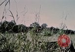 Standbild US-Soldaten" Boden die Aktivitäten im Betrieb Attleboro Dau Tieng Landebahn Vietnam, 1966, aus Sekunde 30 historischem Filmmaterial Videoclip 65675026865