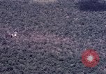 Image of Forward Air Controller coordinating US jets bombing target Vietnam, 1966, second 48 stock footage video 65675026867