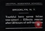 Image of cat rescued by a young man Brooklyn New York City USA, 1930, second 1 stock footage video 65675026886