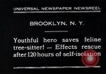 Image of cat rescued by a young man Brooklyn New York City USA, 1930, second 3 stock footage video 65675026886