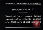 Image of cat rescued by a young man Brooklyn New York City USA, 1930, second 5 stock footage video 65675026886