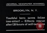 Image of cat rescued by a young man Brooklyn New York City USA, 1930, second 9 stock footage video 65675026886