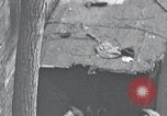 Image of cat rescued by a young man Brooklyn New York City USA, 1930, second 13 stock footage video 65675026886