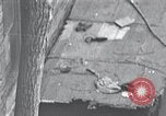Image of cat rescued by a young man Brooklyn New York City USA, 1930, second 14 stock footage video 65675026886