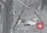 Image of cat rescued by a young man Brooklyn New York City USA, 1930, second 15 stock footage video 65675026886