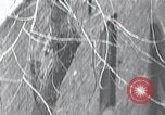 Image of cat rescued by a young man Brooklyn New York City USA, 1930, second 17 stock footage video 65675026886